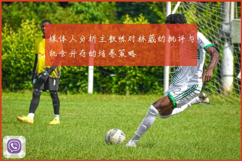 媒体人分析主教练对林葳的批评与机会并存的培养策略